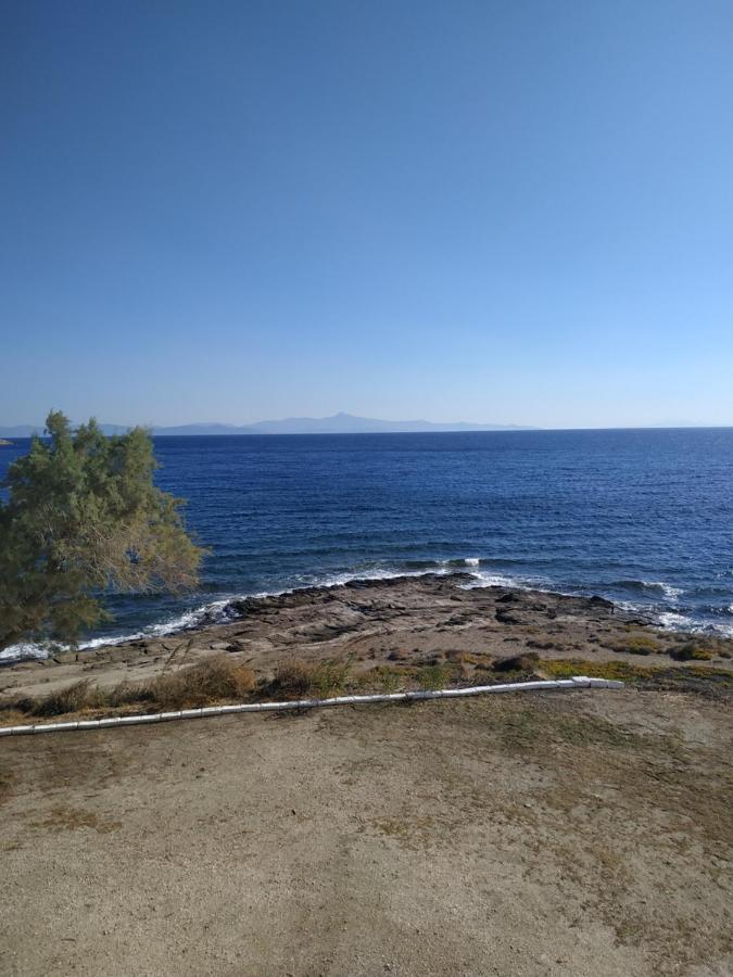 Daskalio Beach Hotel Keratea Eksteriør bilde